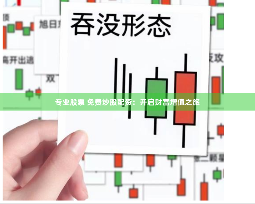专业股票 免费炒股配资：开启财富增值之旅