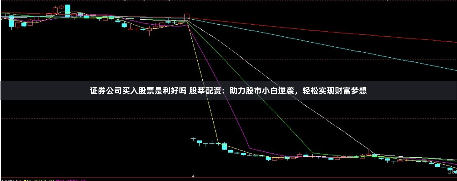 证券公司买入股票是利好吗 股莘配资：助力股市小白逆袭，轻松实现财富梦想